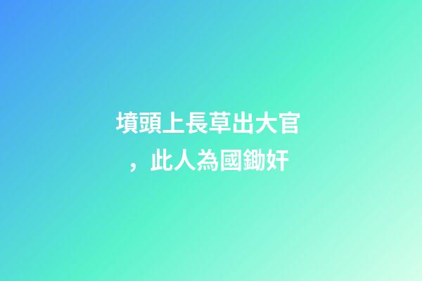 墳頭上長草出大官，此人為國鋤奸-第1張-觀點-玄機派